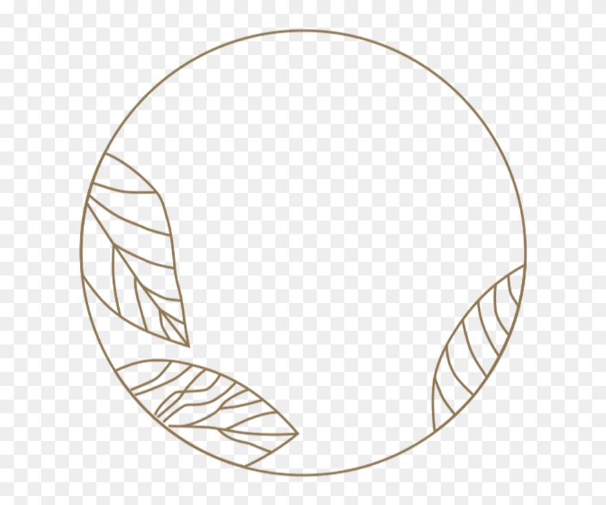 Circle Clipart