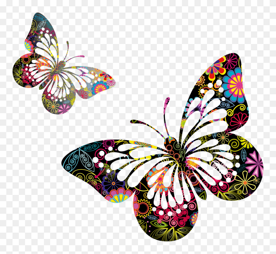Butterfly Png Vector Clipart