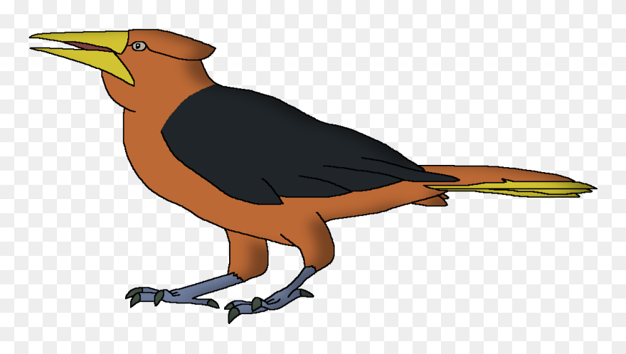 Wildlife Animal Pedia Wiki Clipart