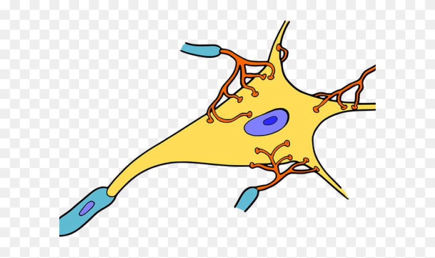 Cartoon Picture Of Nerves Clipart
