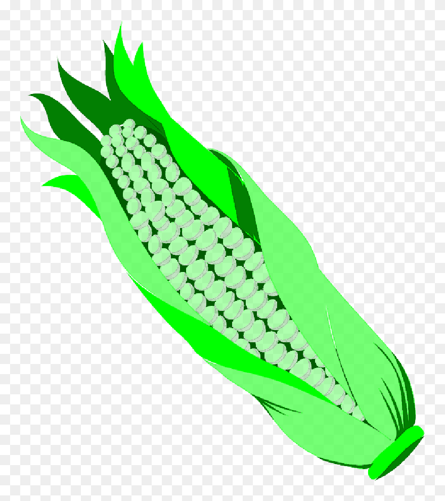 Food, Cartoon, Corn, Vegetables, Cob, Gran, Vegetable - Vegetable Clip Art - Png Download