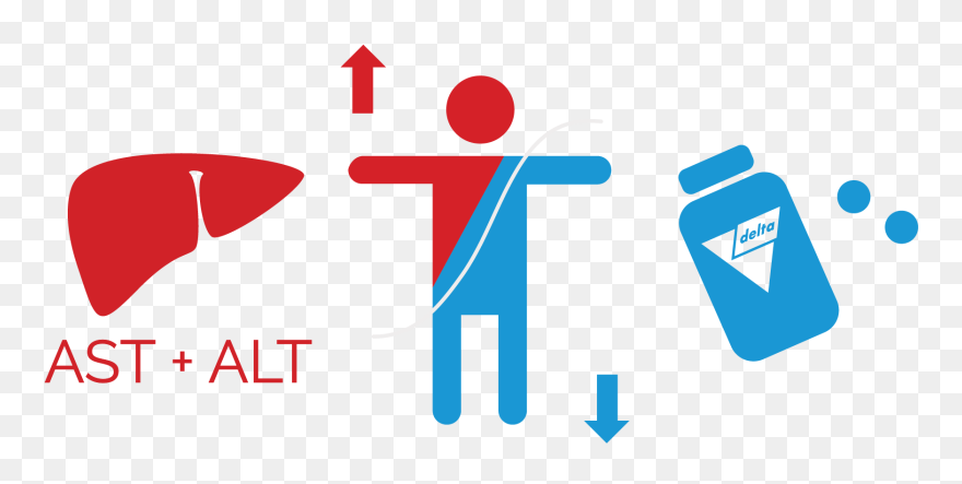 Essential Ad2 Improves Liver Function Test - Liver Function Test Research Clipart