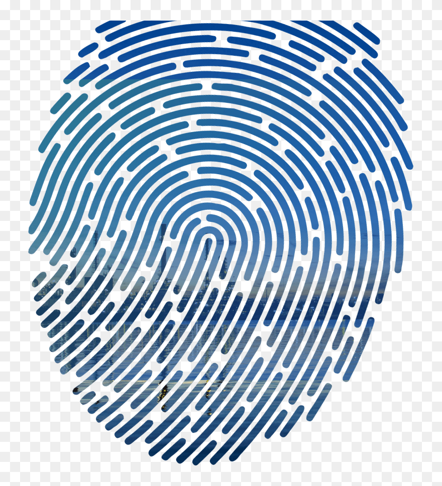 Clip Art Finger Print - Png Download