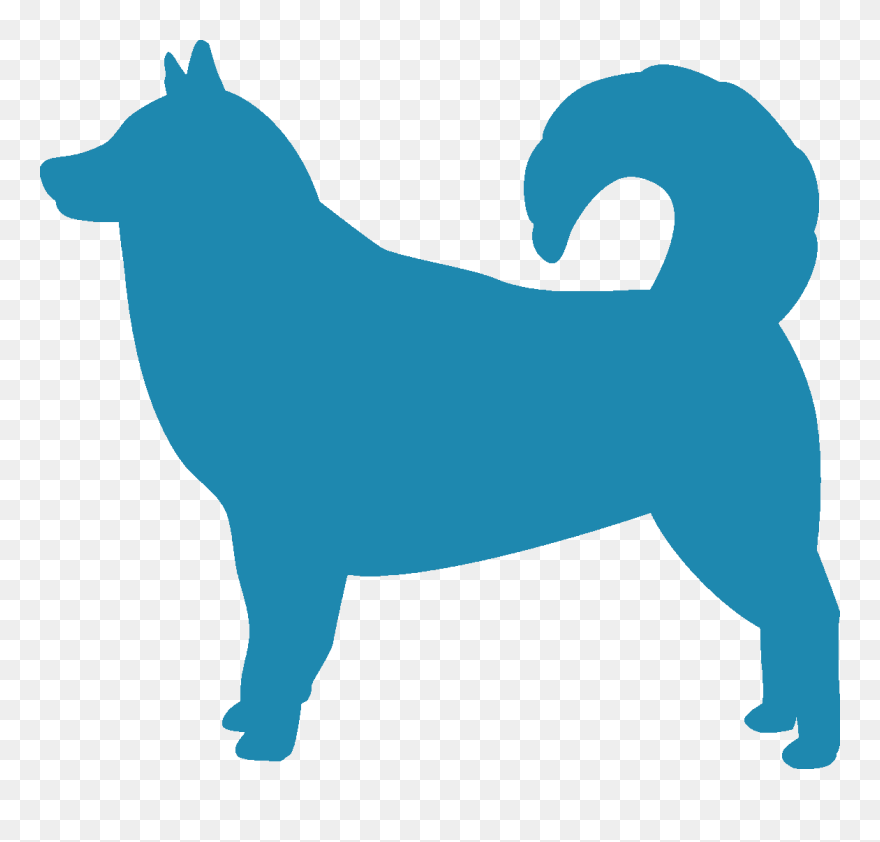 Alaskan Malamute - Companion Dog Clipart