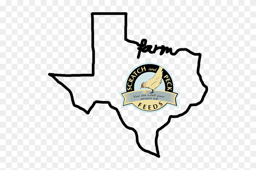 Scratch And Peck Clipart