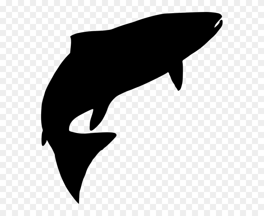 Fish Water Silhouette- - Fish Silhouette Transparent Background Clipart