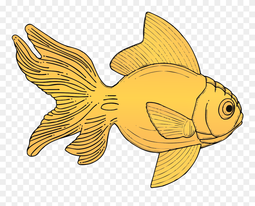Golden Fish Svg Clip Arts - Gold Fish Clip Art - Png Download