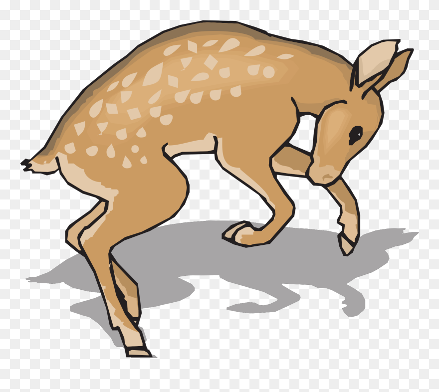 Gambar Anak Rusa Kartun Clipart