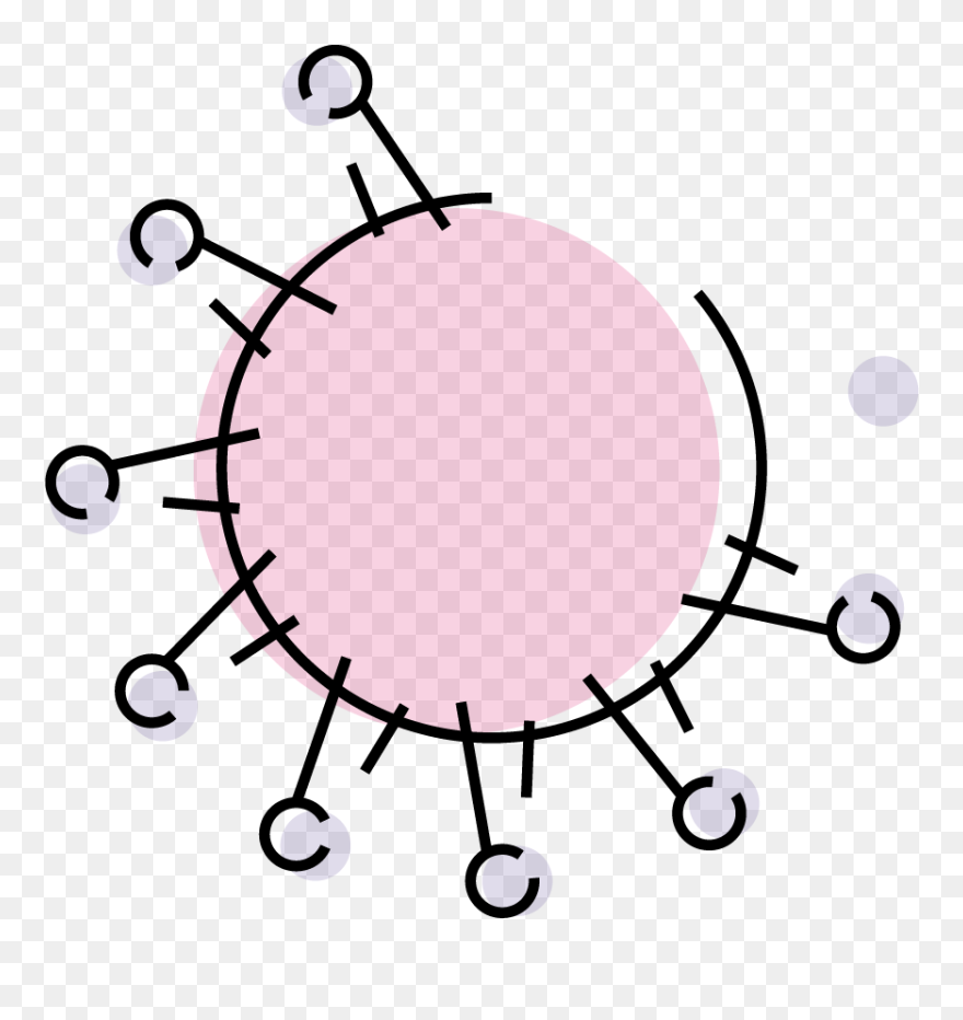 Covid 19 Clip Art - Png Download