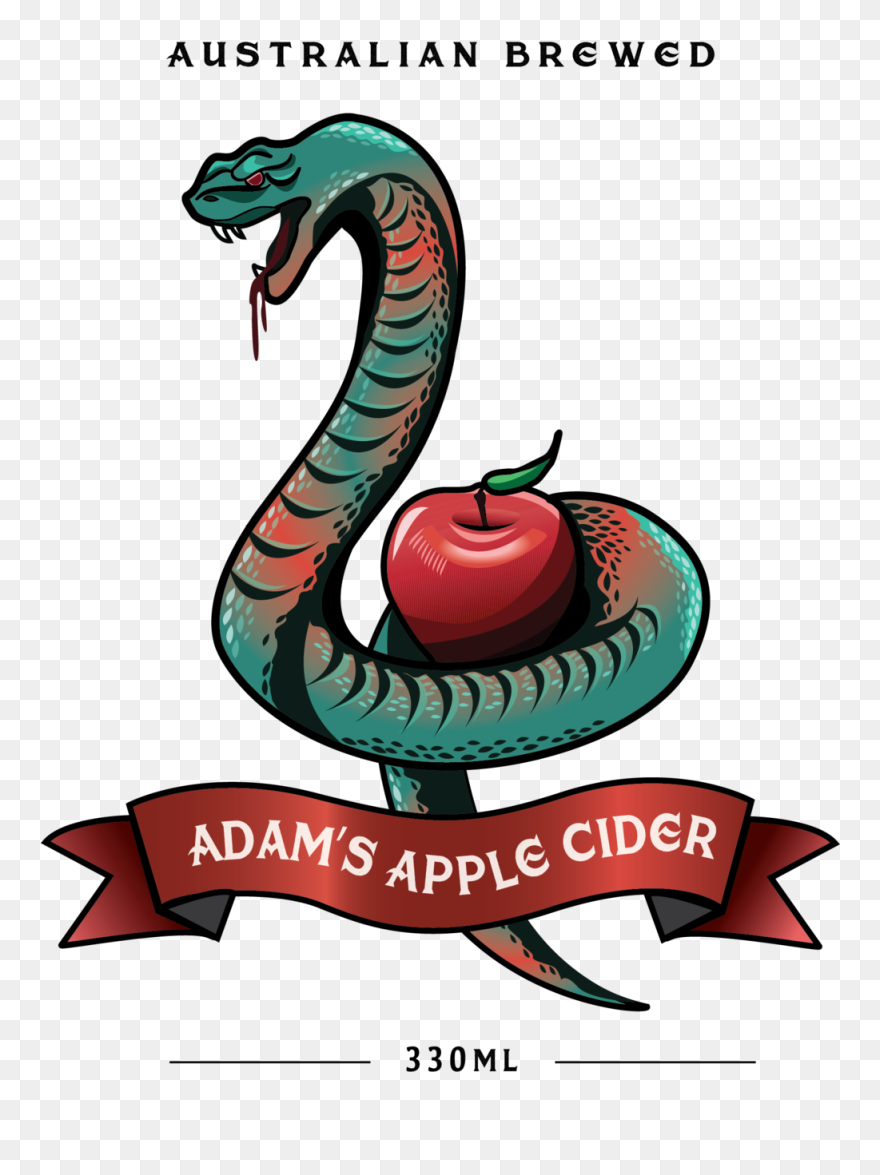 Transparent Apple Cider Clip Art - Png Download