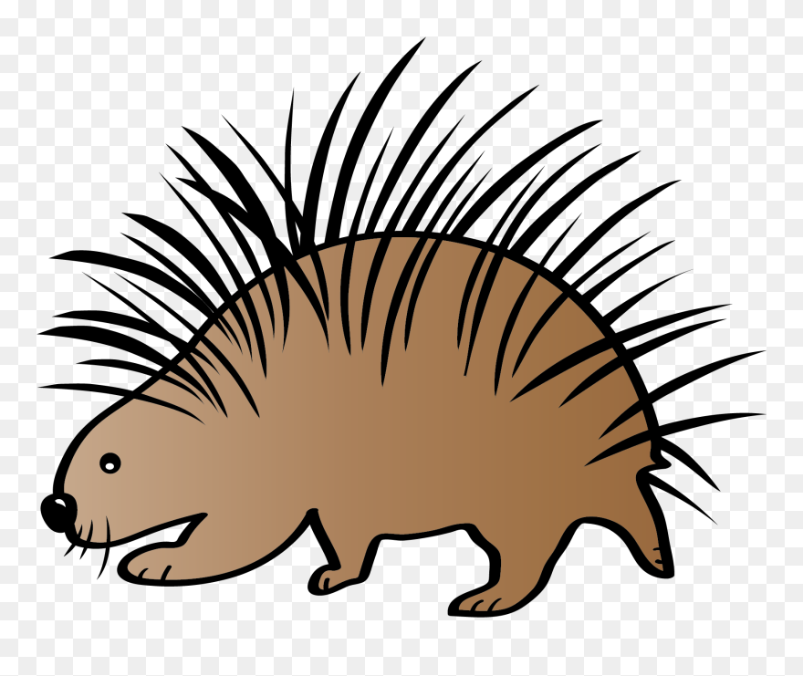 Adaptations Clipart Clip Download Animal Adaptations - Porcupine Clipart - Png Download