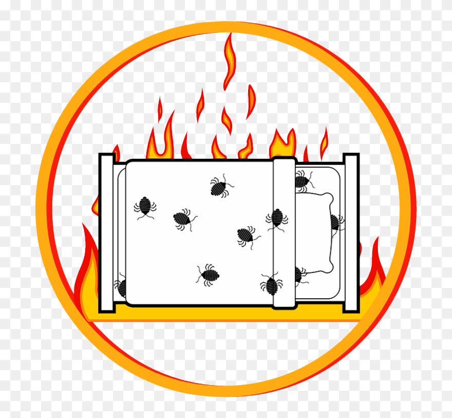 Heat Kills Bed Bugs Effectively Clipart