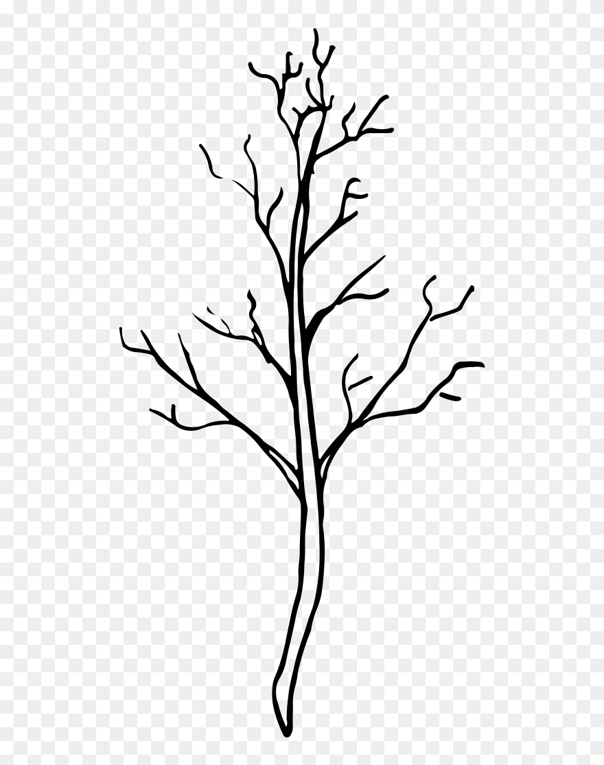 Noun Branch 1823085 - Twig Clipart
