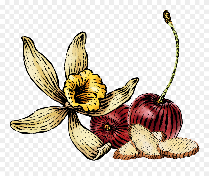 Flour Clipart Plain Flower - Png Download