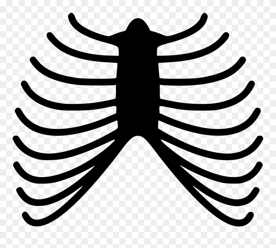 Rib Cage Human Skeleton Anatomy Human Body - Skeleton Rib Cage Pattern Clipart