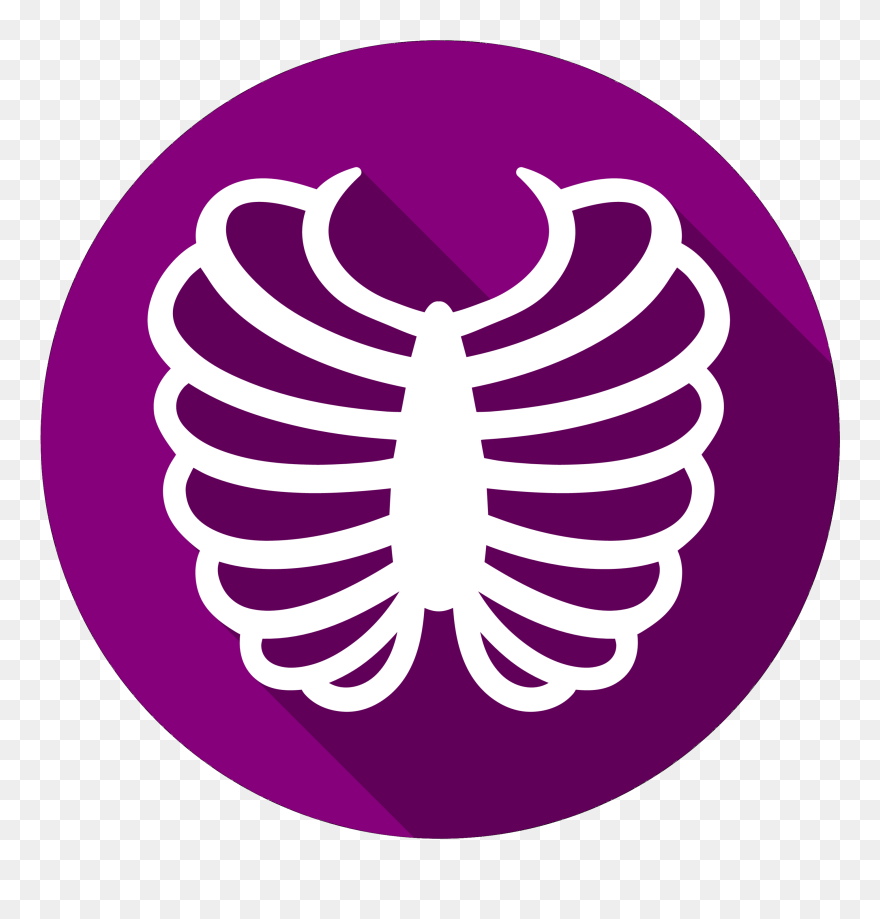 Rib Cage Vector Graphics Computer Icons Bone - Logo Rib Fracture Clipart
