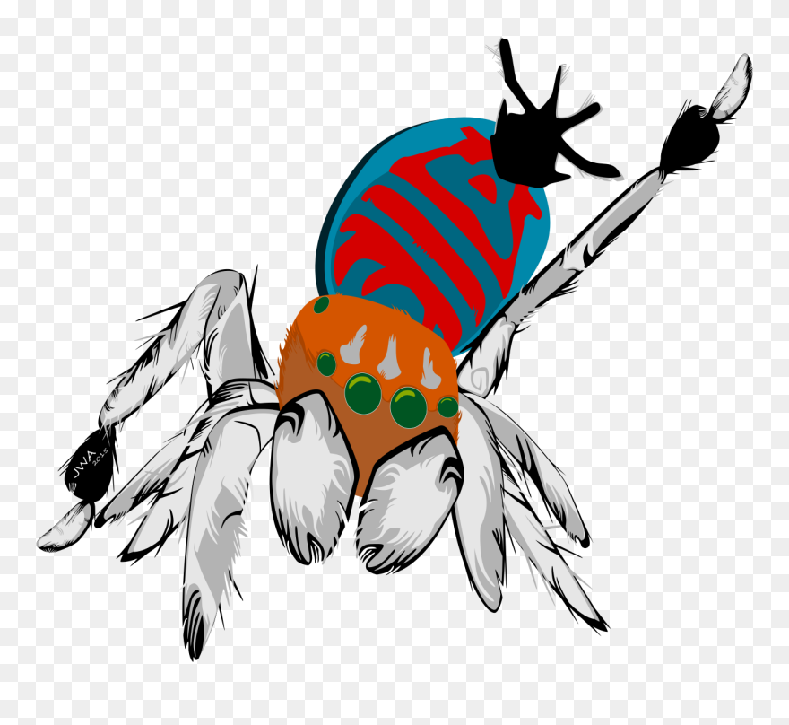 Illustration Clipart