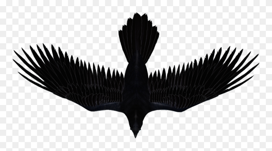 Illustration Clipart