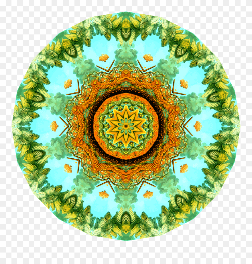 Filicinae 30 Clip Arts - Circle - Png Download