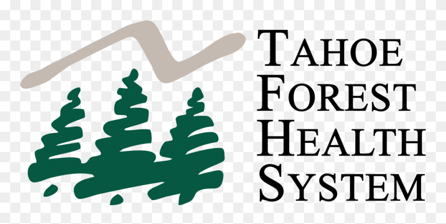 Christmas Tree Clipart