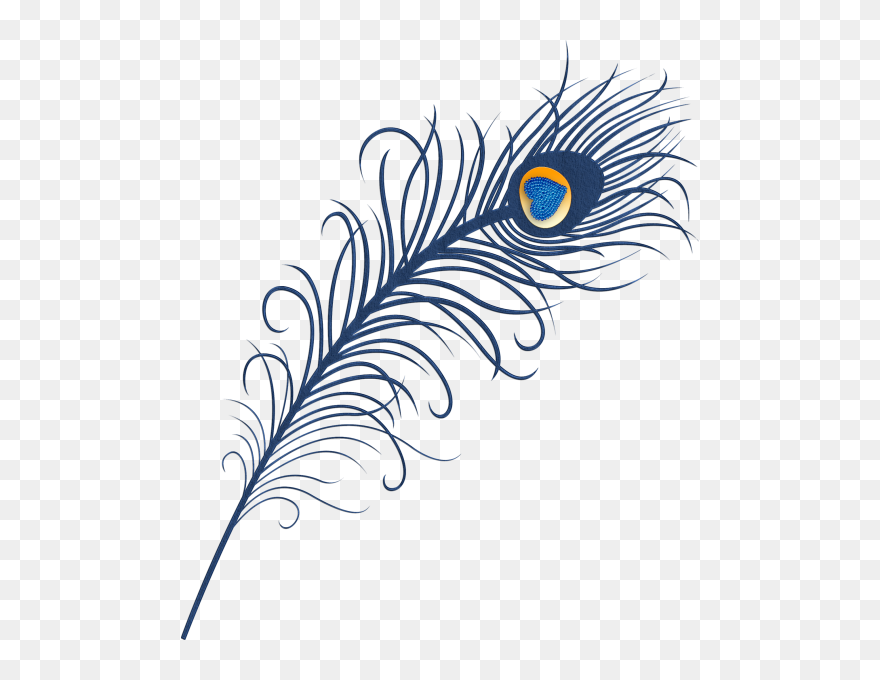 Mor Pankh Png Hd Clipart