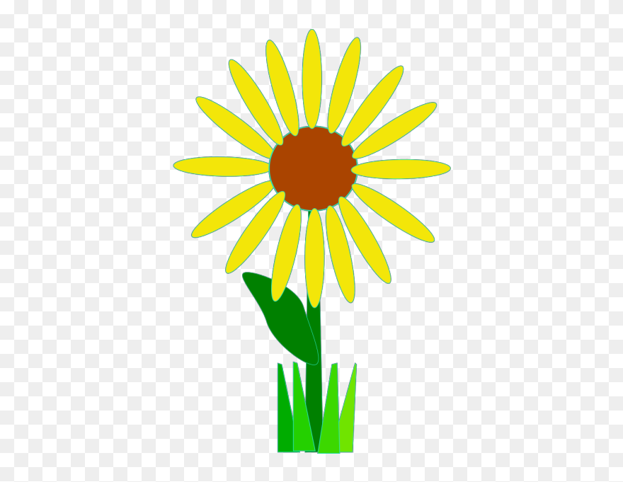 Simple Yellow Flower Png Icons - Flower Clip Art Transparent Png