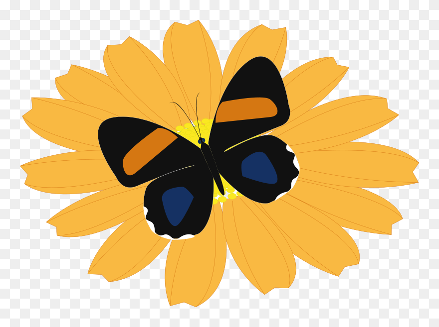 Papillon - Butterflies Clipart