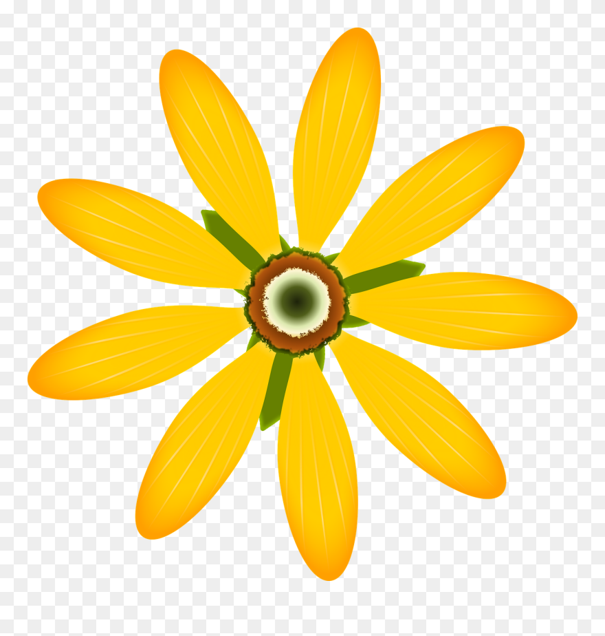 African Daisy Clipart