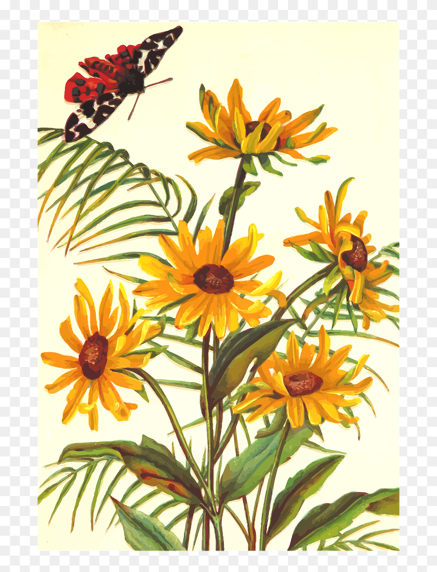 Flower Clipart