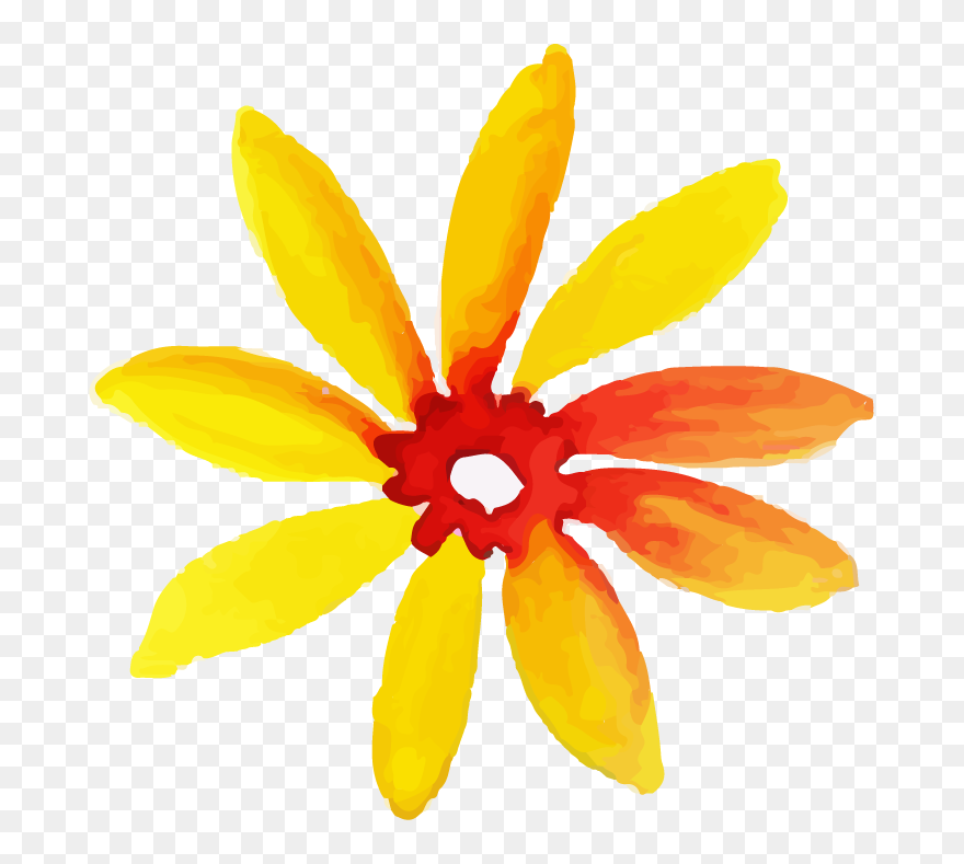 Black-eyed Susan Clipart