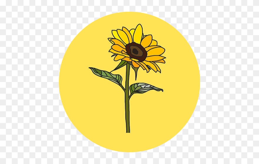 #yellow #sunflower #circle #background 🌻💫 #freetoedit - Aesthetic Stickers Sunflower Clipart