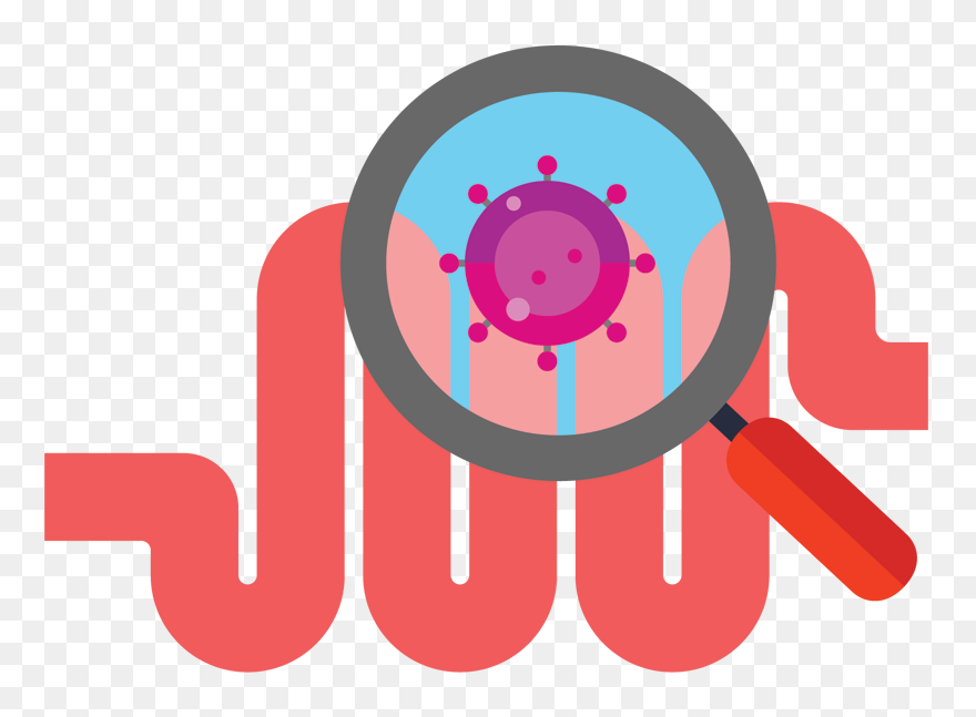 Magnifying Glass Looking At Gut - Microbiome Allergies Clipart