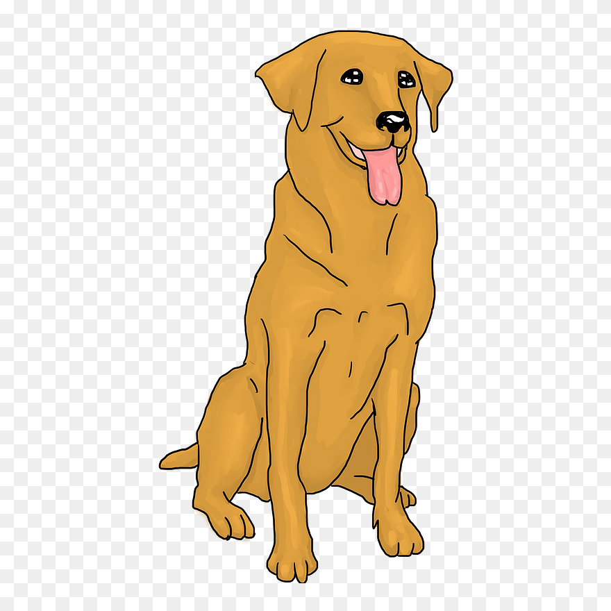 Golden Retriever Clipart - Golden Retriever Clipart Transparent - Png Download