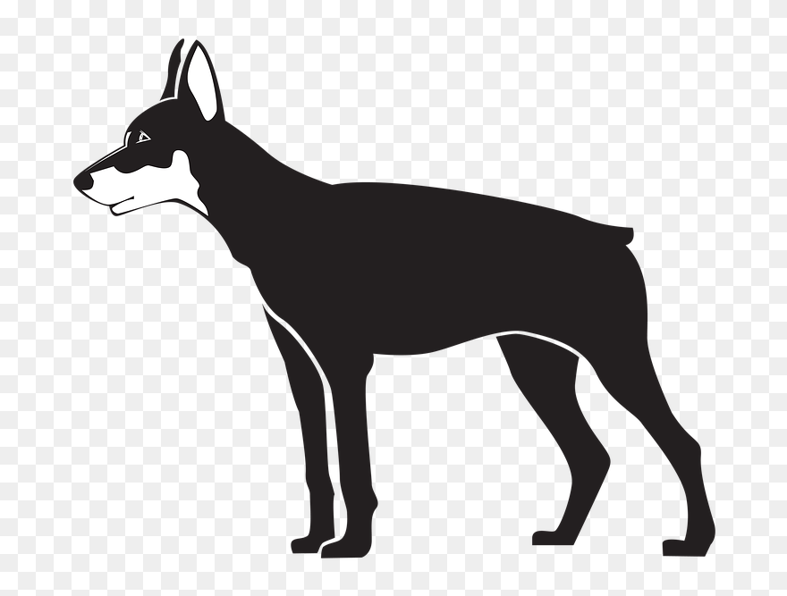 Transparent Free Dog Clipart Silhouette - Black Dog Illustration - Png Download