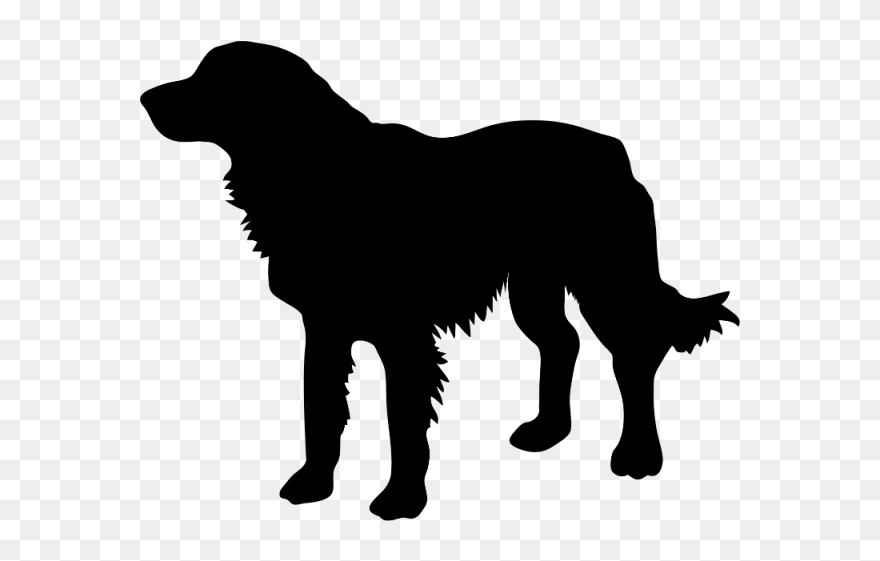 Golden Retriever Labrador Retriever Silhouette Photography - Golden Retriever Silhouette Png Clipart