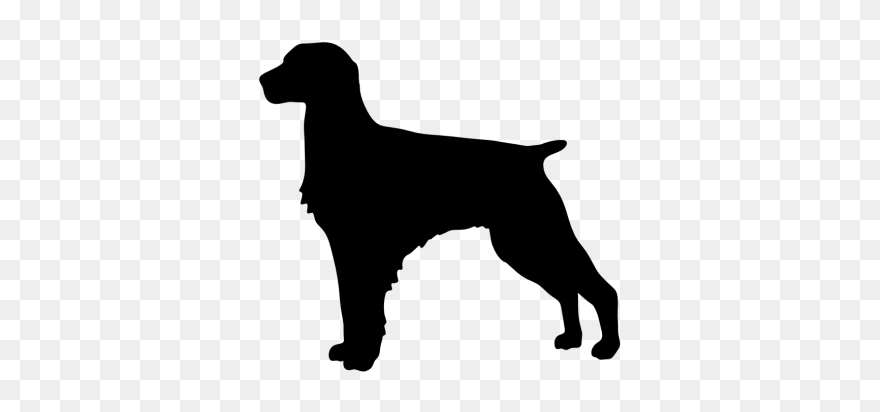 Brittany Spaniel Free Silhouettes Clipart