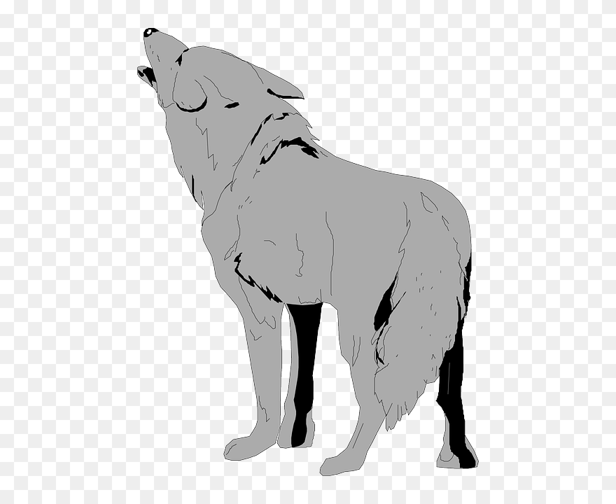 Gray, Art, Animal, Tail, Fur, With, Coyote - Transparent Background Wolves Clipart - Png Download