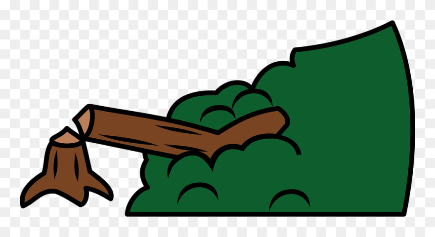 Branch Broken Clipart Clipart Stock Green Grass Background - Fallen Tree Clipart Png Transparent Png