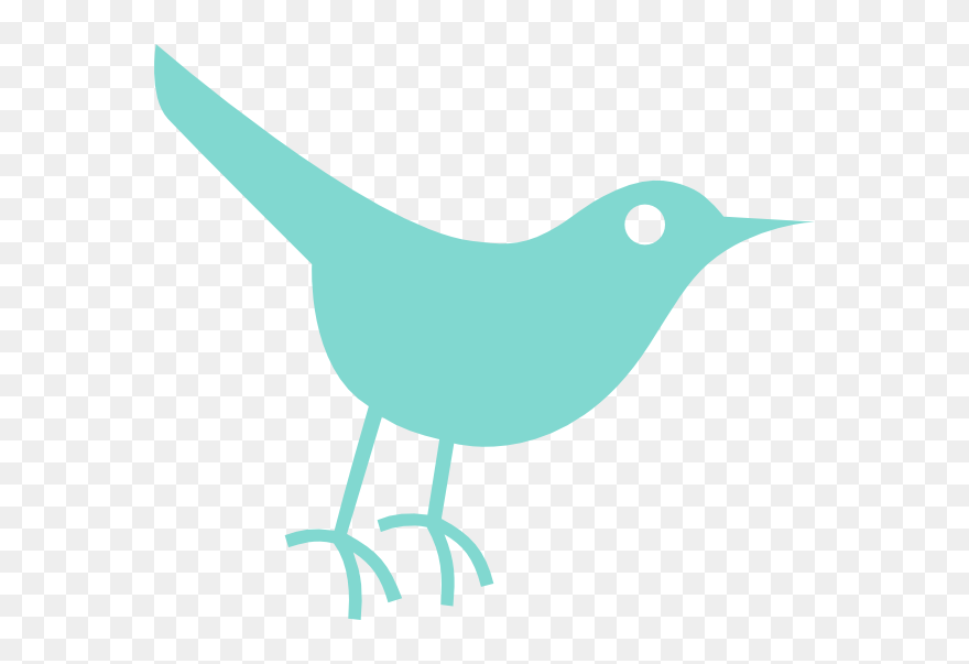 Transparent Background Birds Icon Clipart