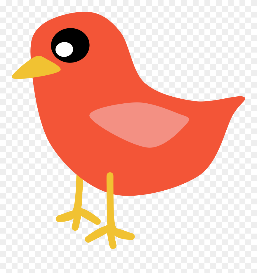 Transparent Red Bird Clipart - Birds - Png Download
