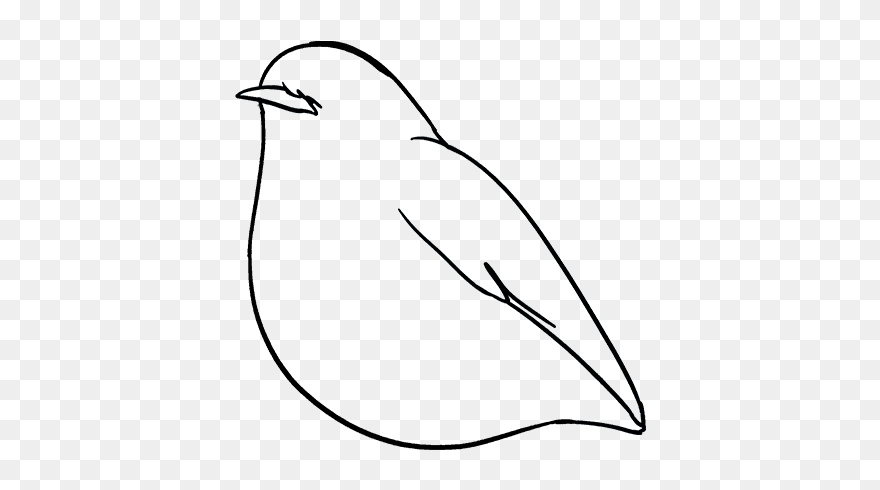 How To Draw Robin - Line Art Clipart