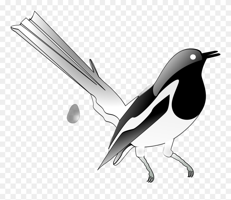 Magpie Clip Art - Png Download