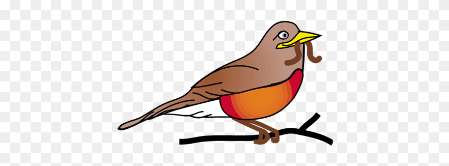 Robin Clip Art - Png Download