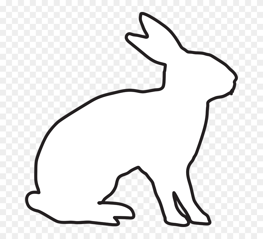 Qanon Hase Clipart