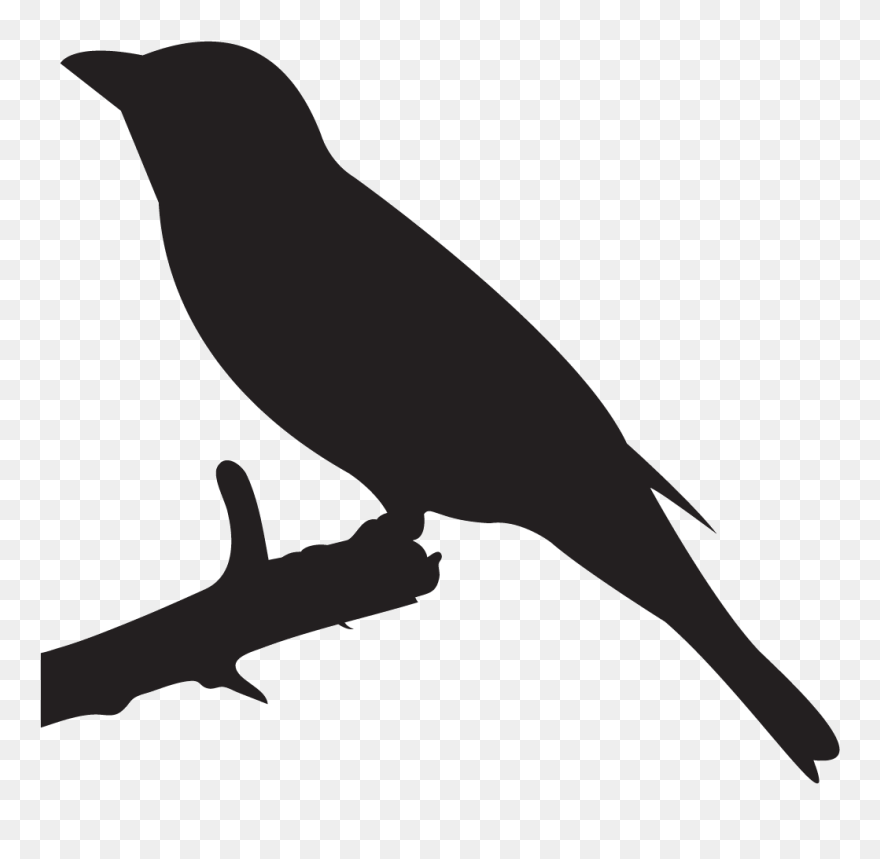 Scarlet Tanager Silhouette Clipart