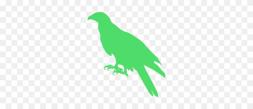 Transparent Robins Clip Art - Silueta Gavilán - Png Download
