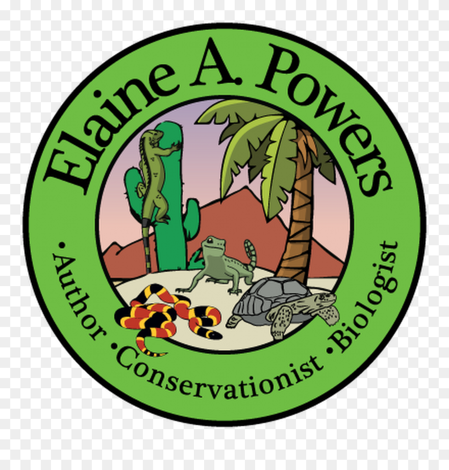 Cartoon Palm Tree Clipart