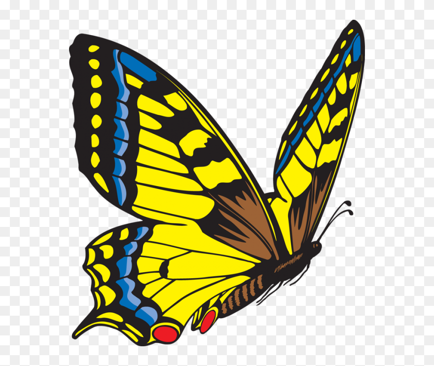 Wonderful Image Of Yellow Butterfly - Butterfly Flying Clip Art - Png Download