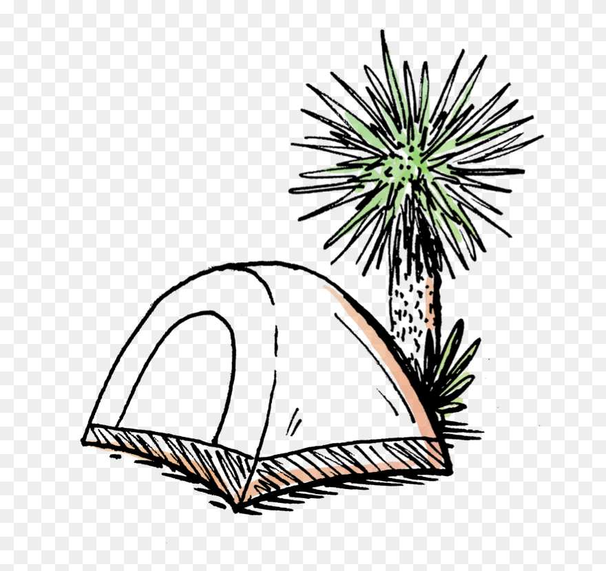 Clip Art - Png Download