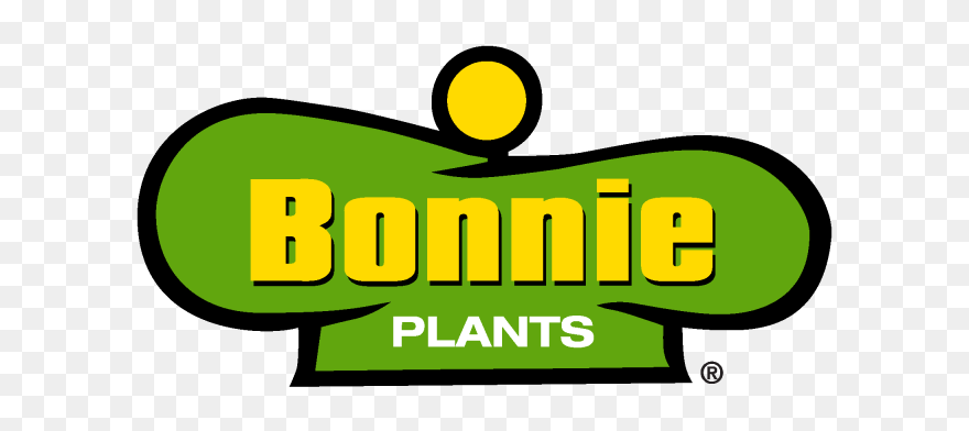 Growing Spinach - Bonnie Plants Clipart